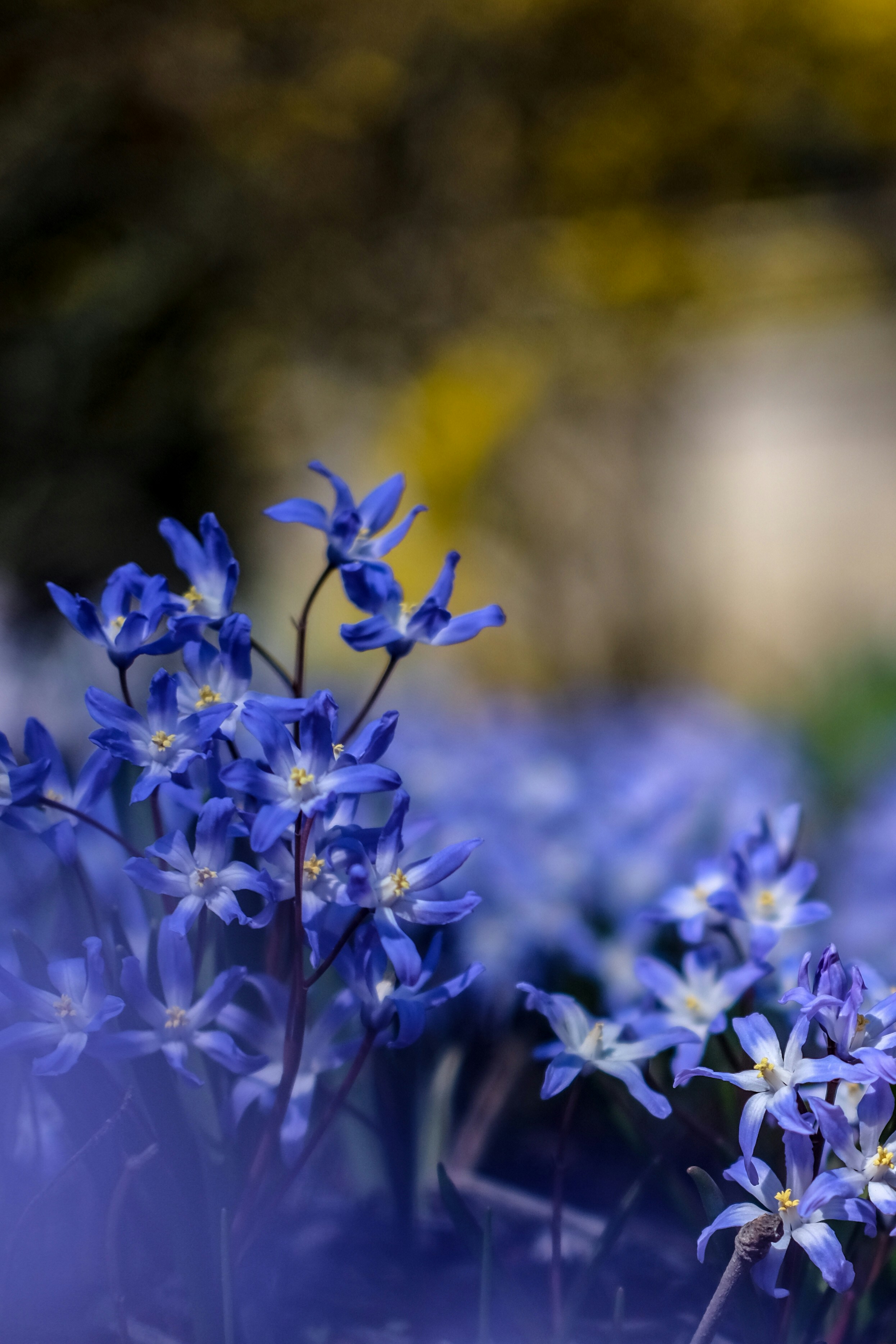 Photo by create4eyes