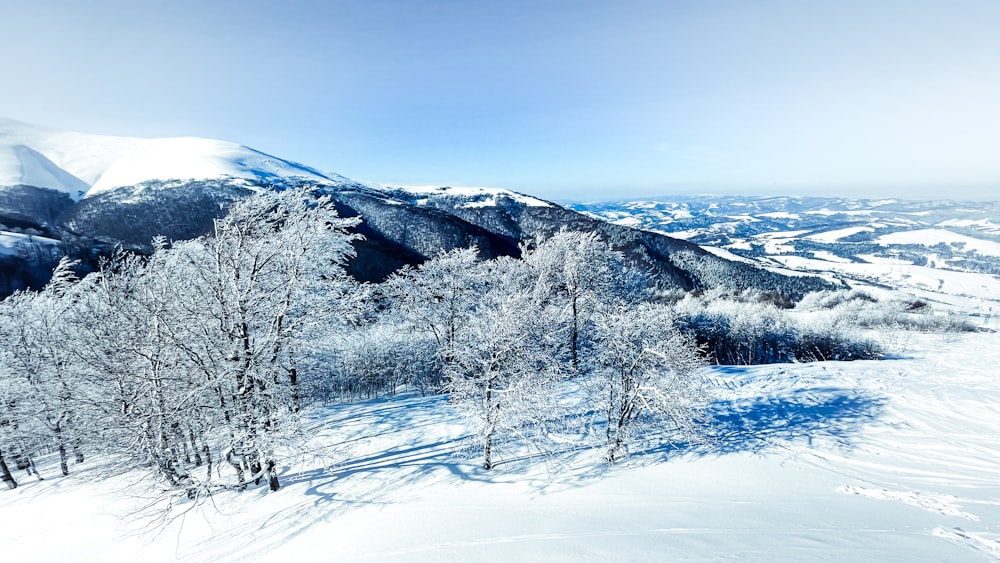 Schneebedeckter Berg tagsüber