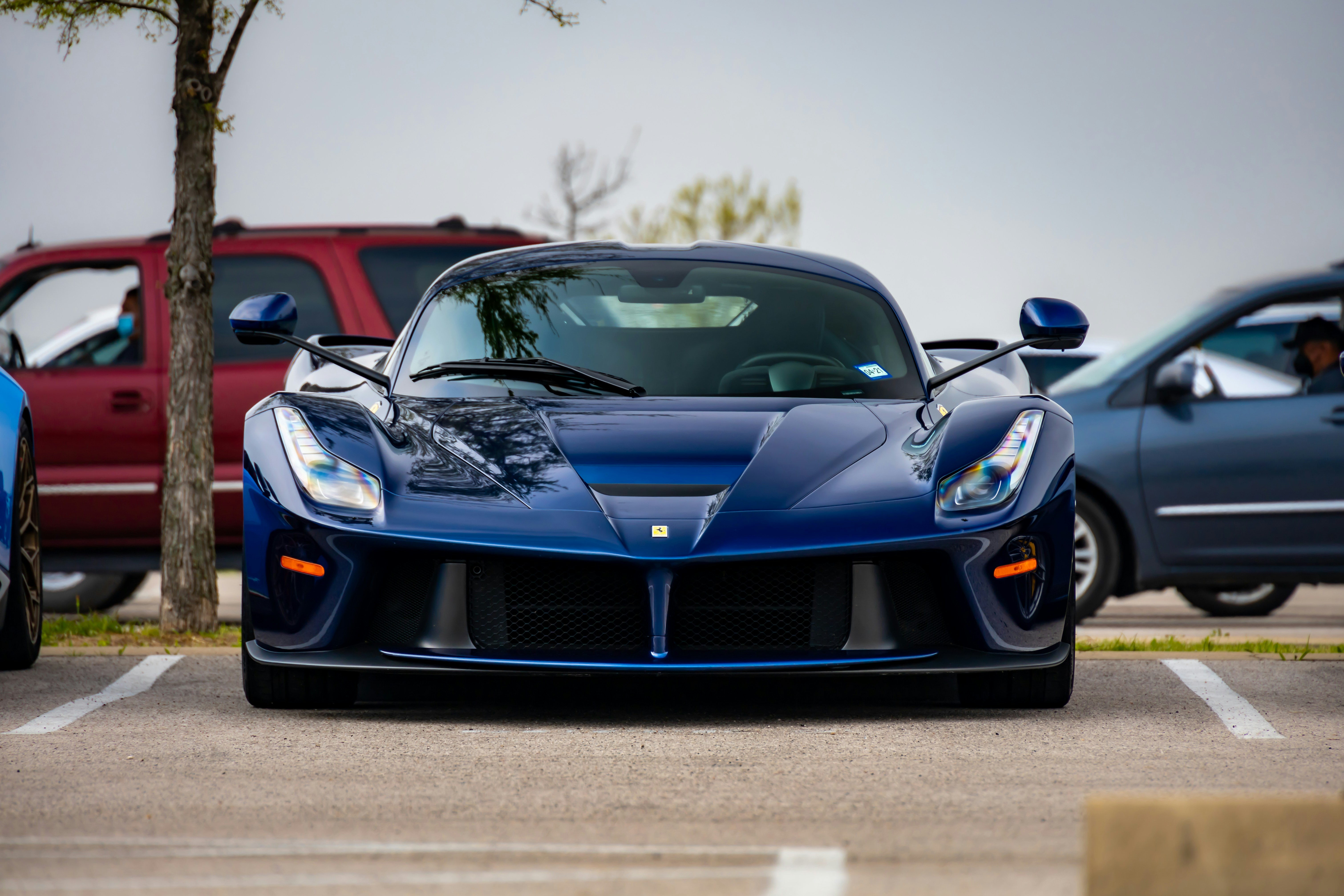 Photo by lonestarexotic