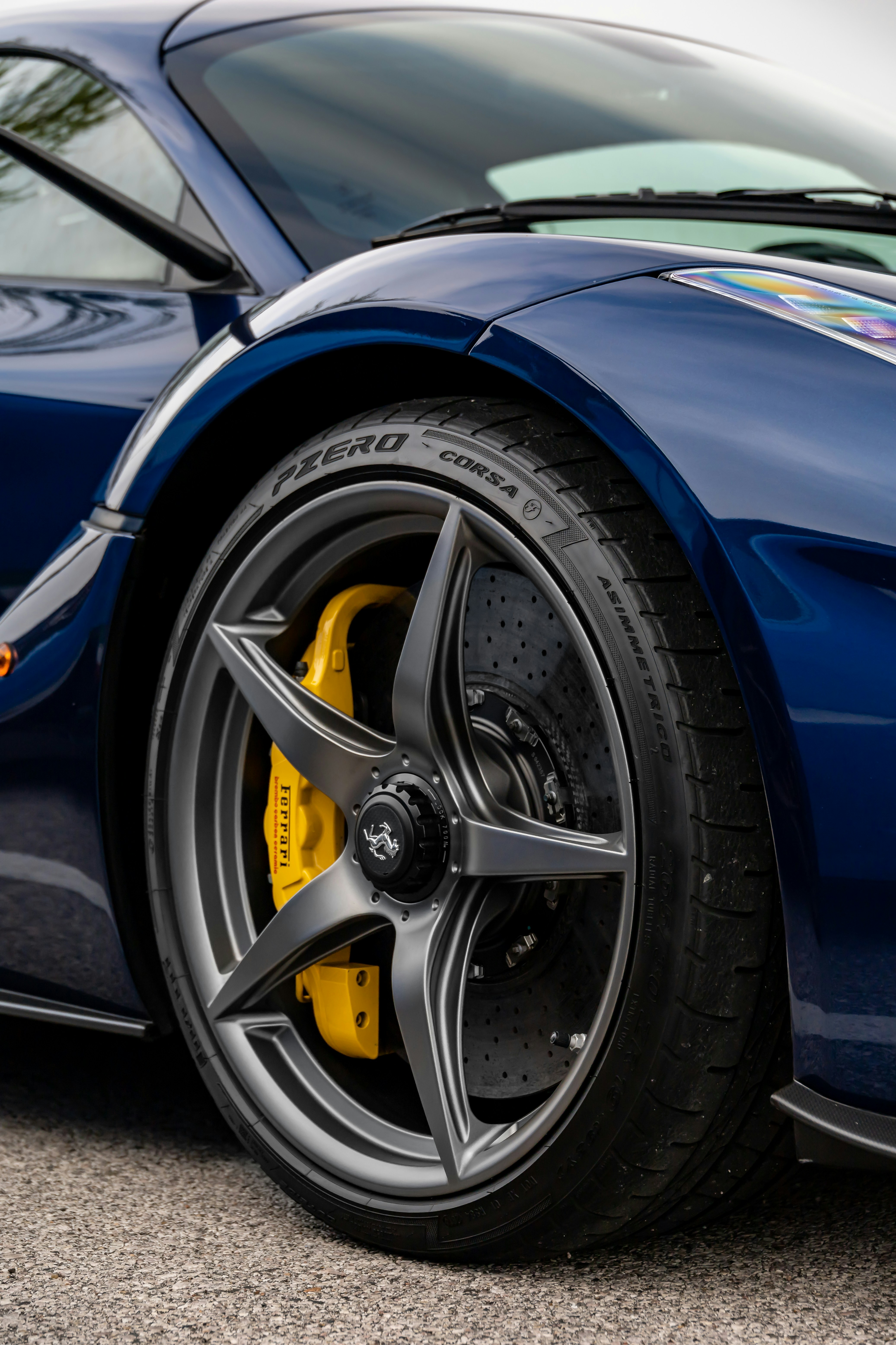 Photo by lonestarexotic