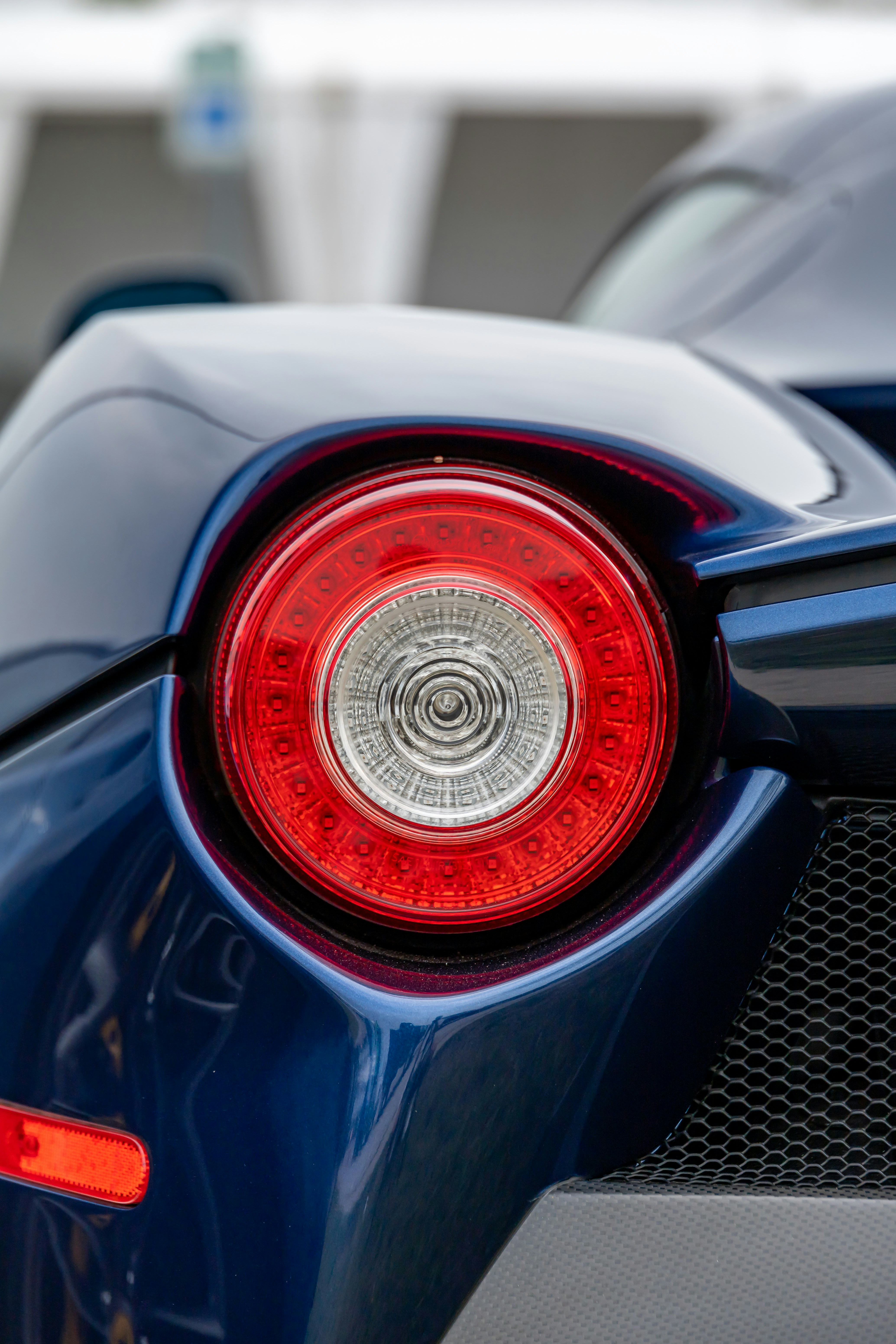 Photo by lonestarexotic