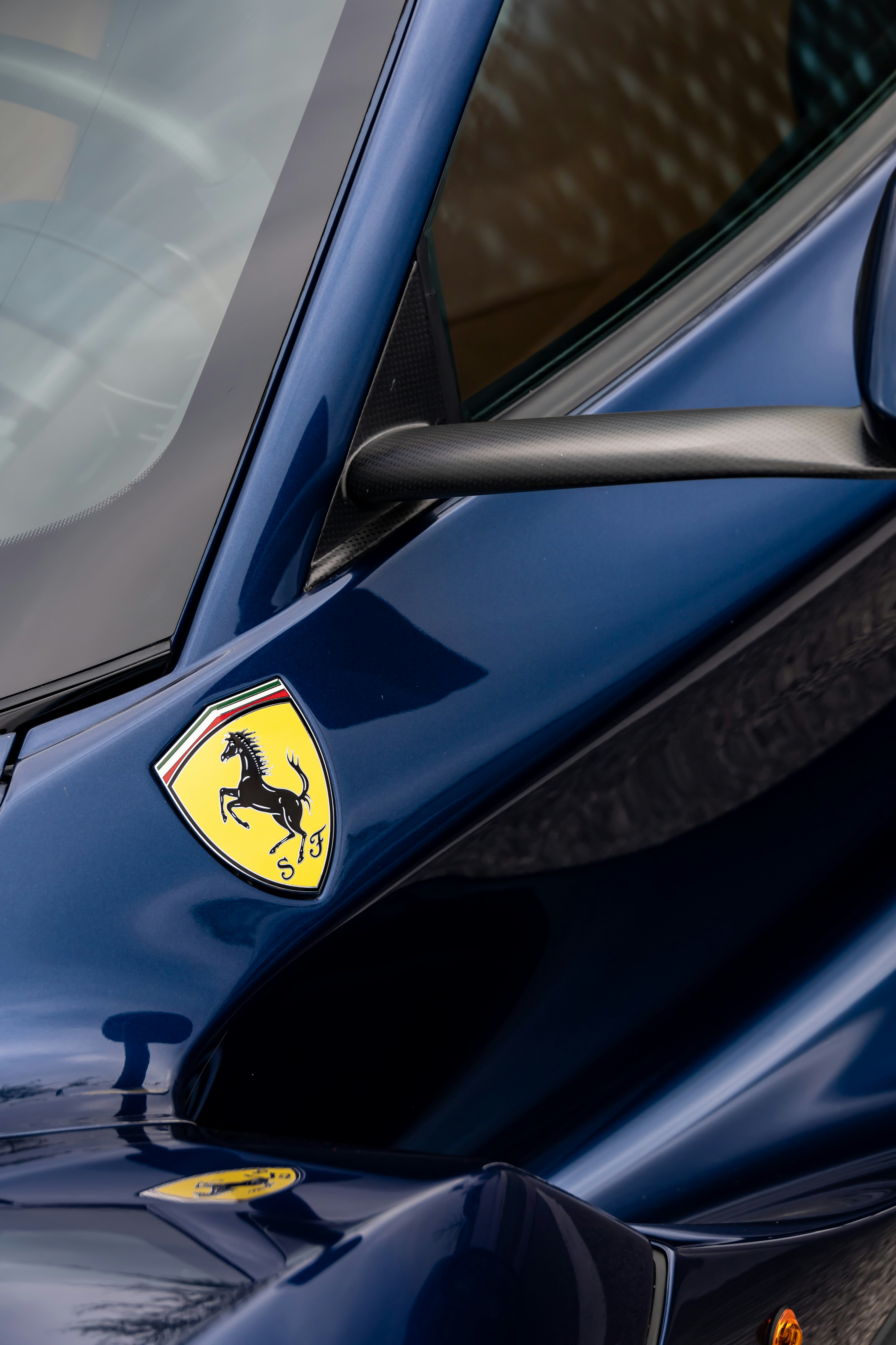 Photo by lonestarexotic