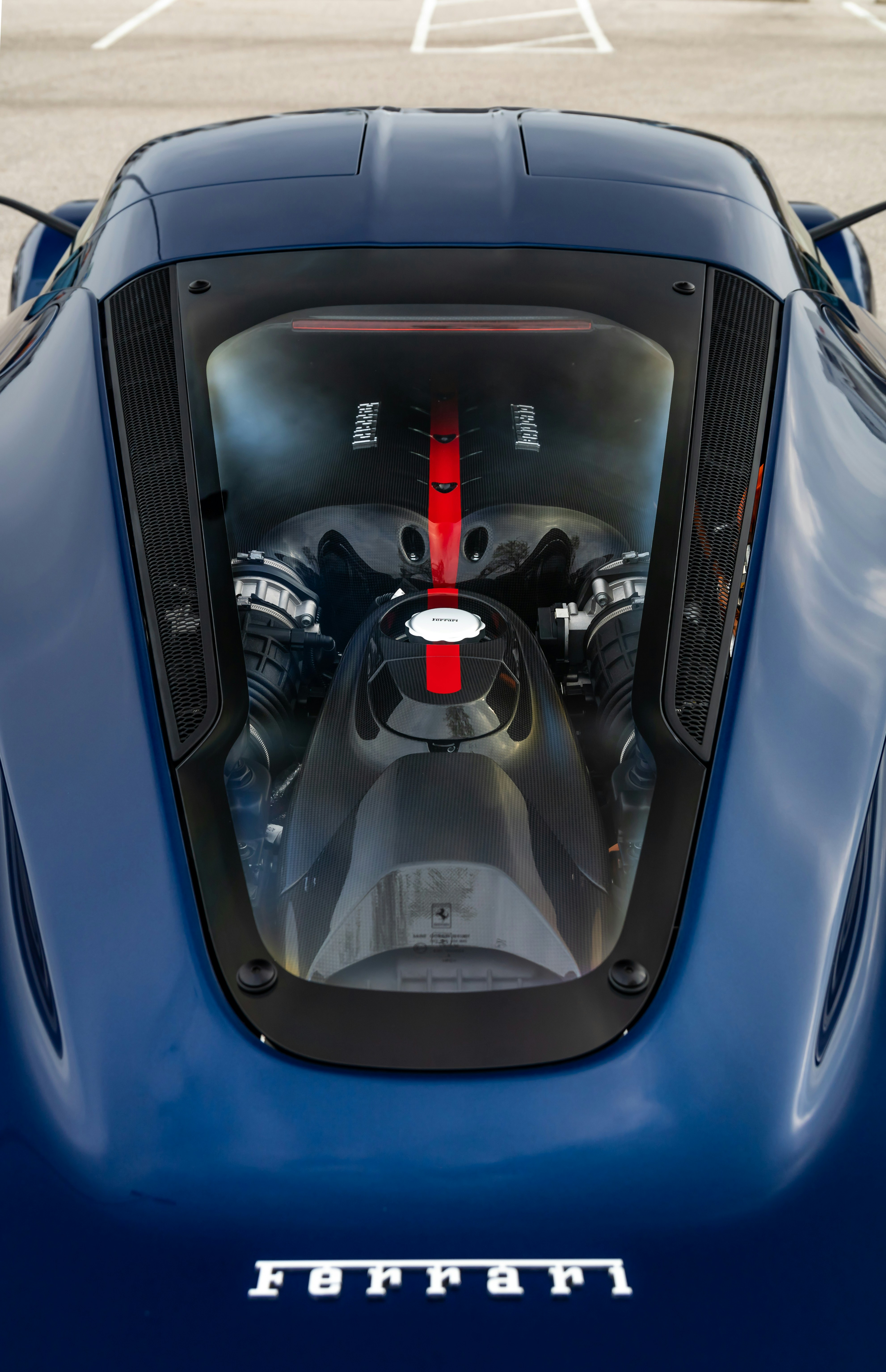 Photo by lonestarexotic