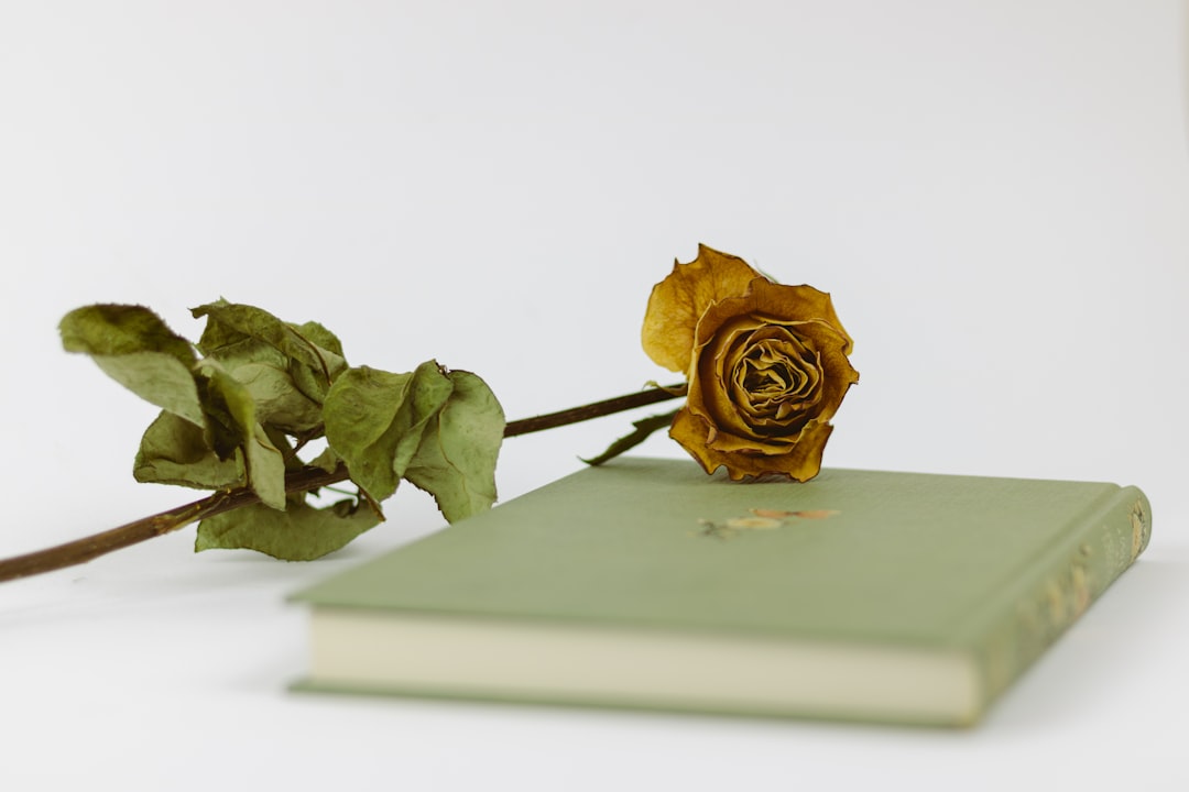 gold rose on white book