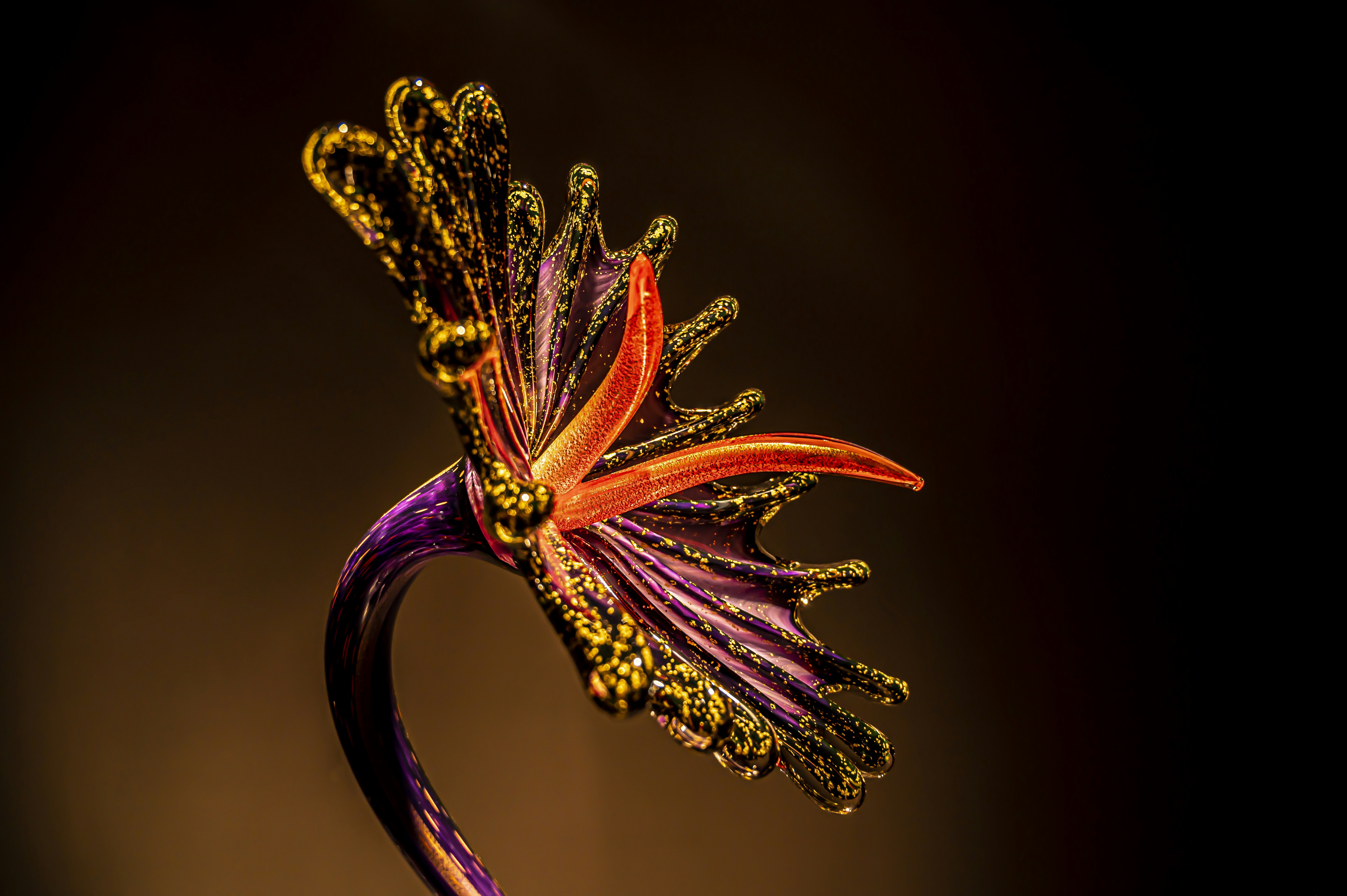 purple and yellow flower in close up photography