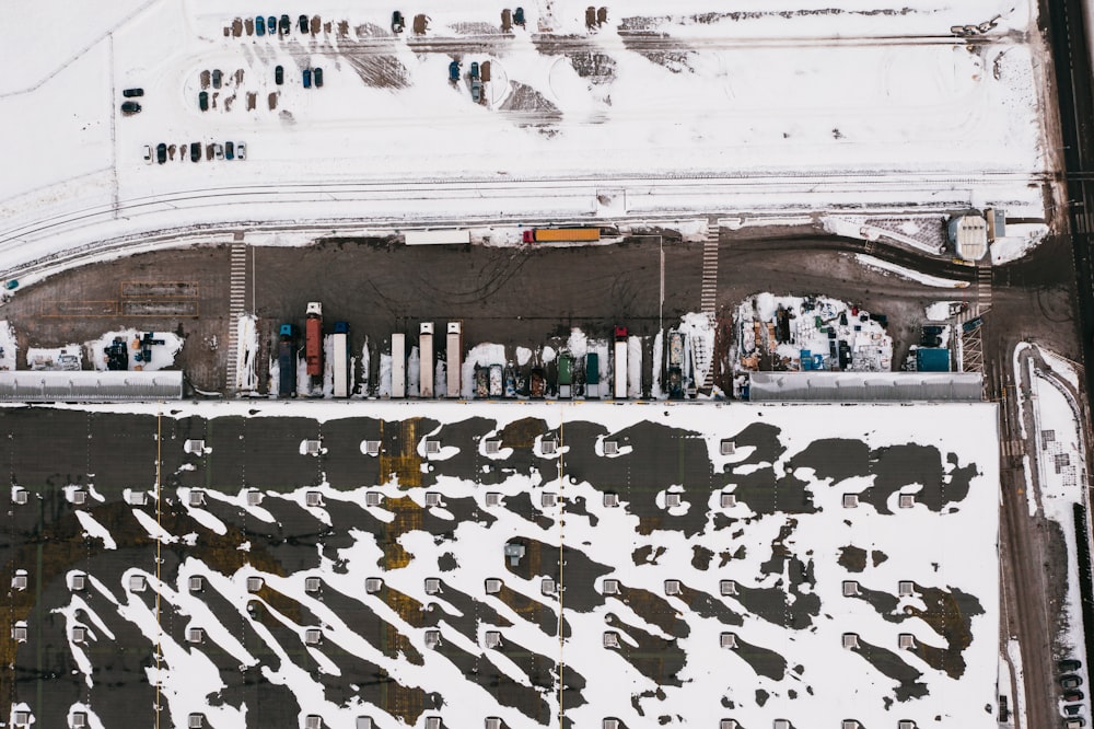 people walking on street during daytime