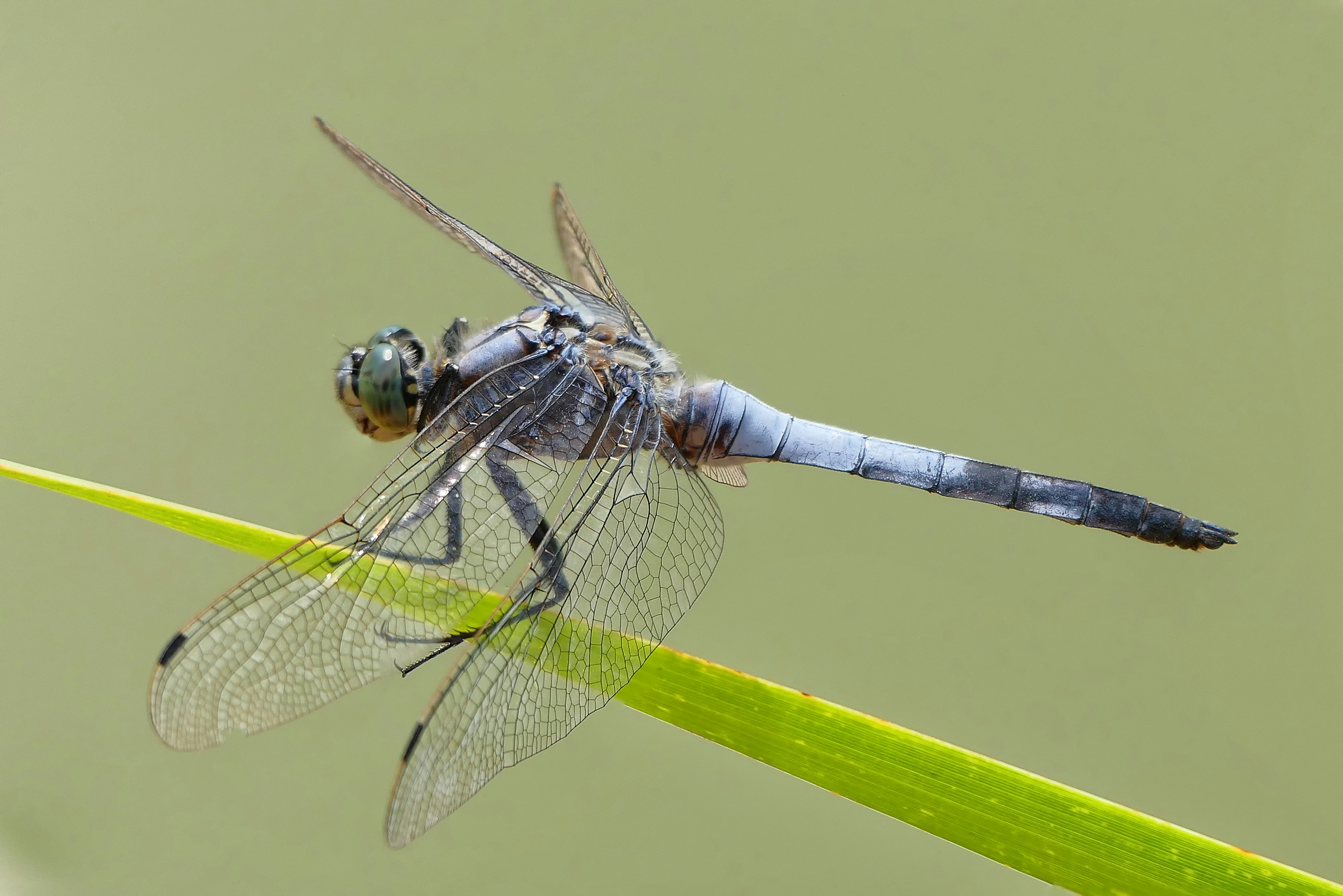 Photo by on_earth_in_space