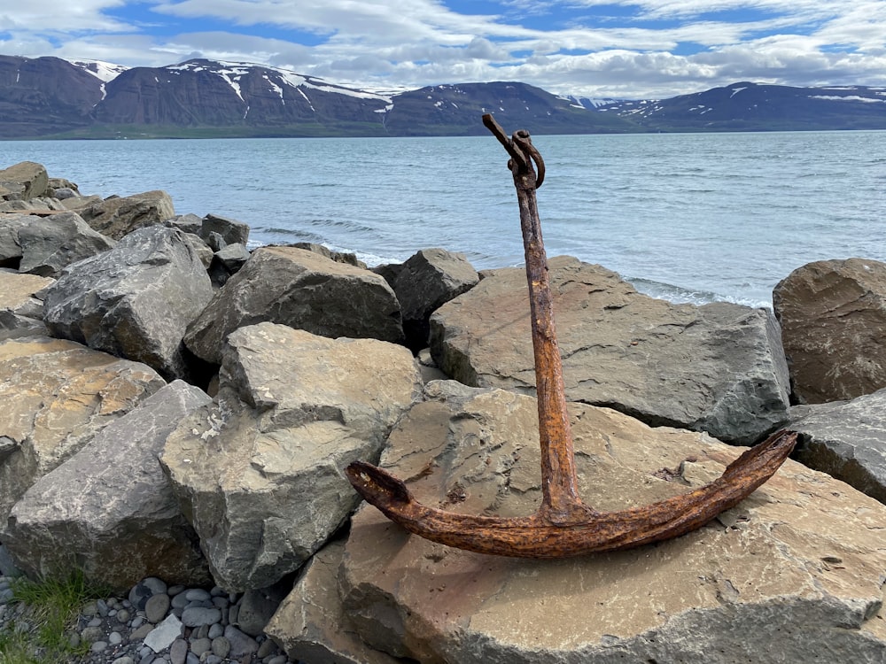 roue en métal brun sur le rivage rocheux pendant la journée