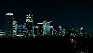 Elegant city skyline at night with illuminated skyscrapers.