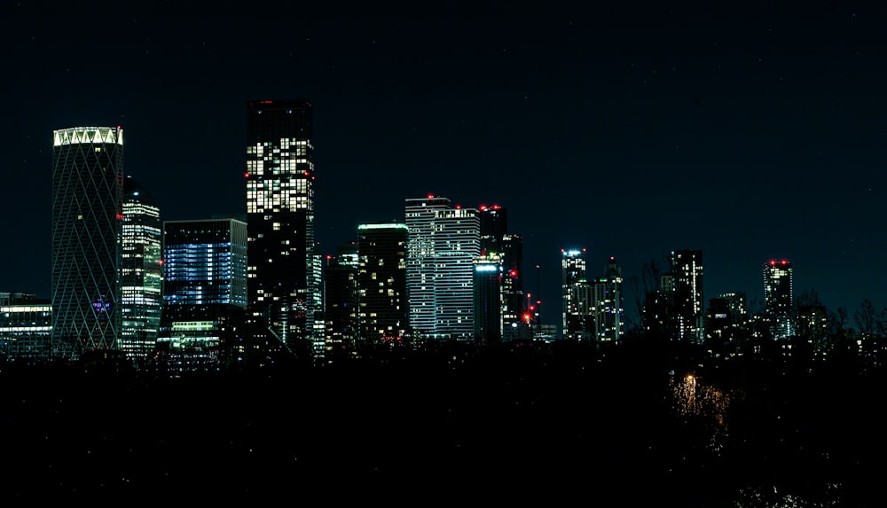 city skyline during night time