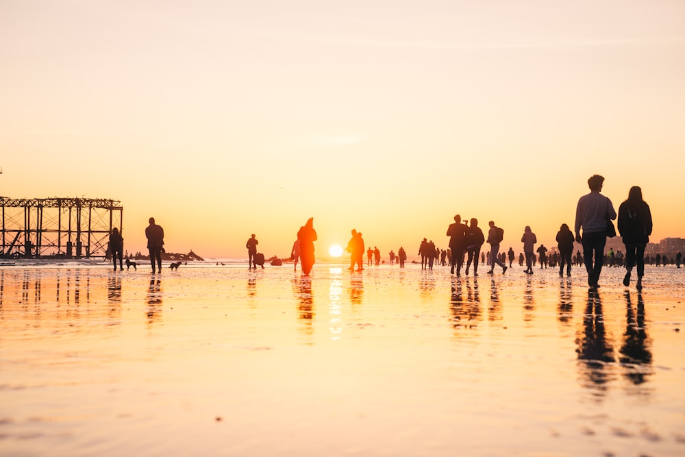 people on beach during sunset