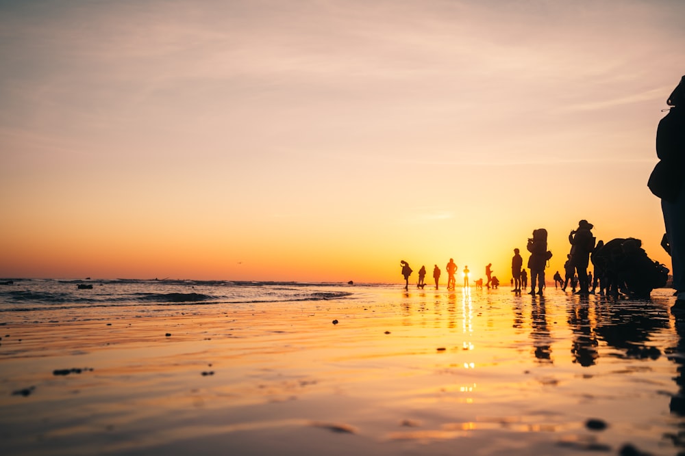 Gente en la playa durante la puesta de sol