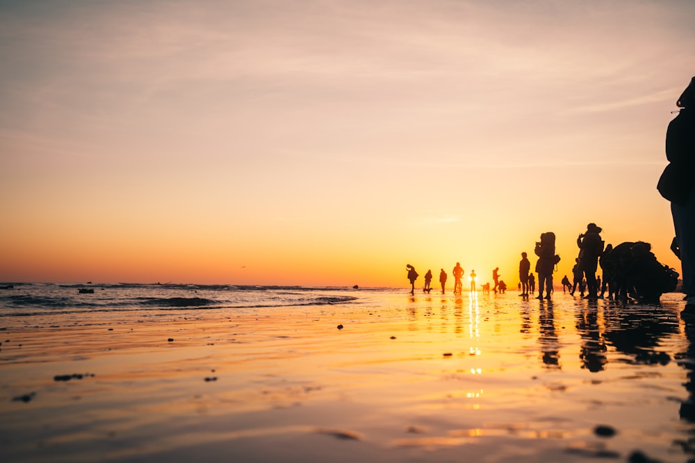 people on beach during sunset