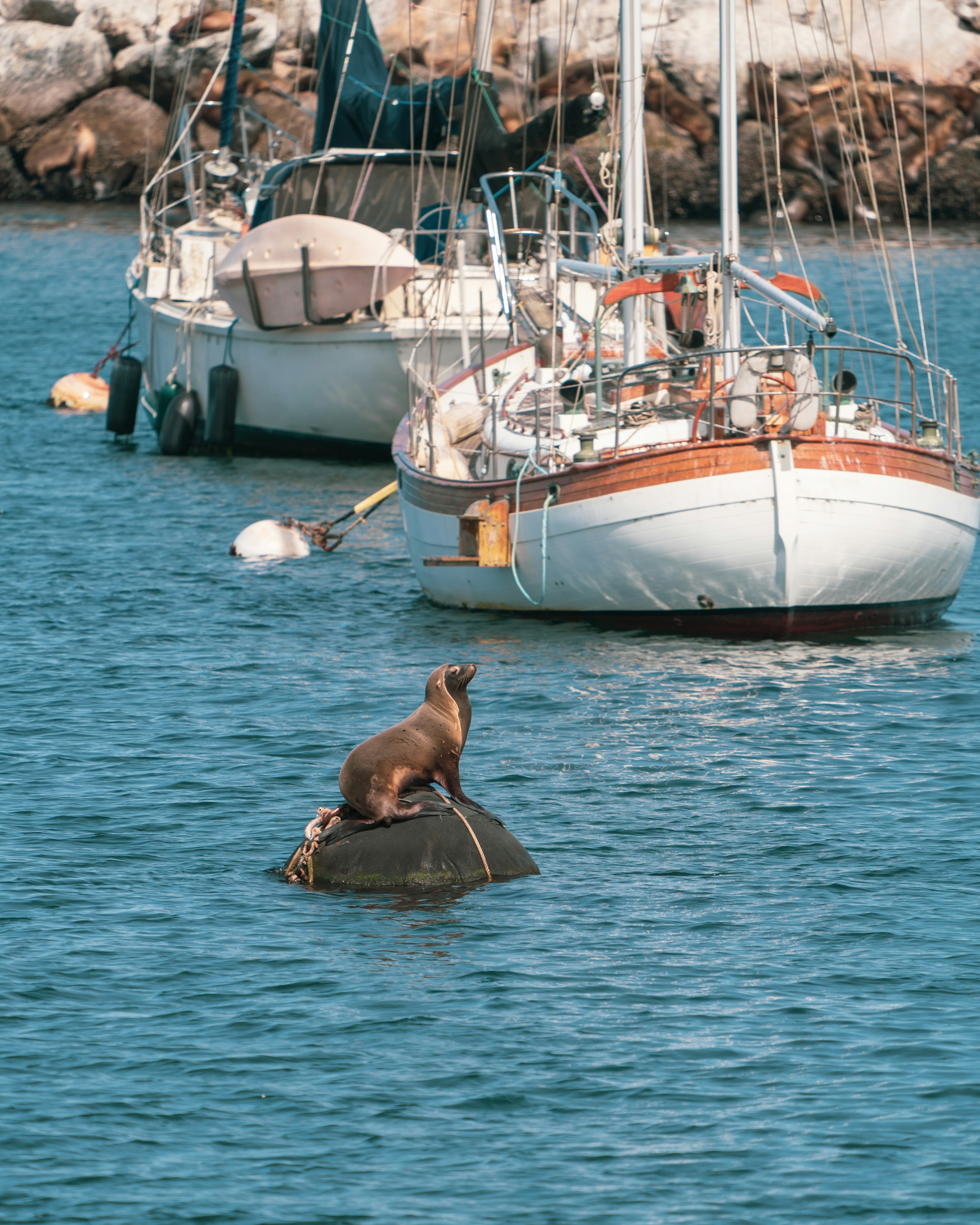 man in black shorts lying on white and blue boat during daytime