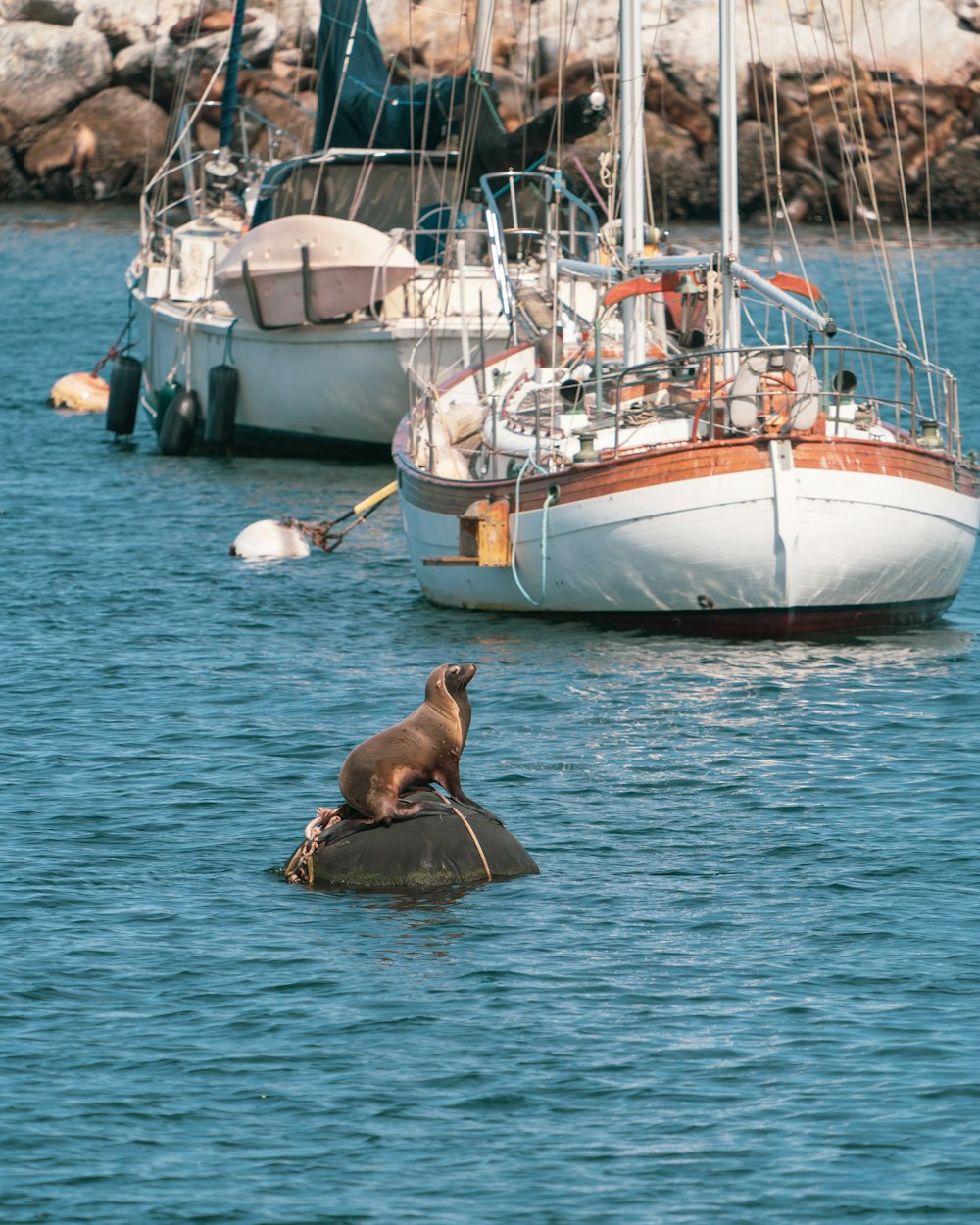 man in black shorts lying on white and blue boat during daytime