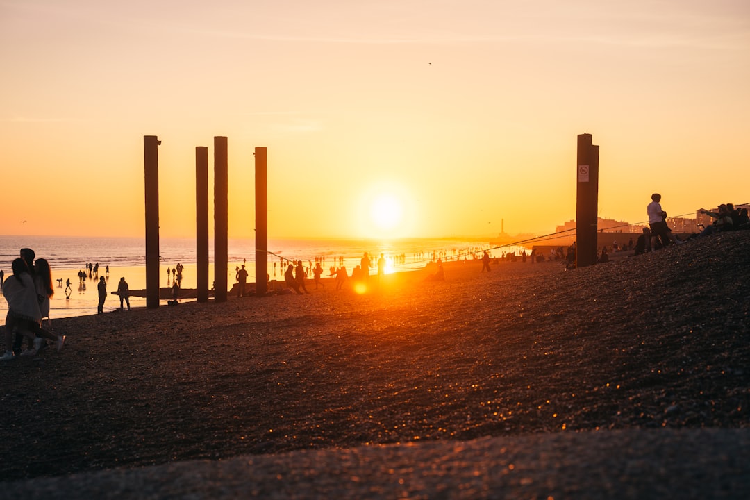 silhouette of people walking on beach during sunset