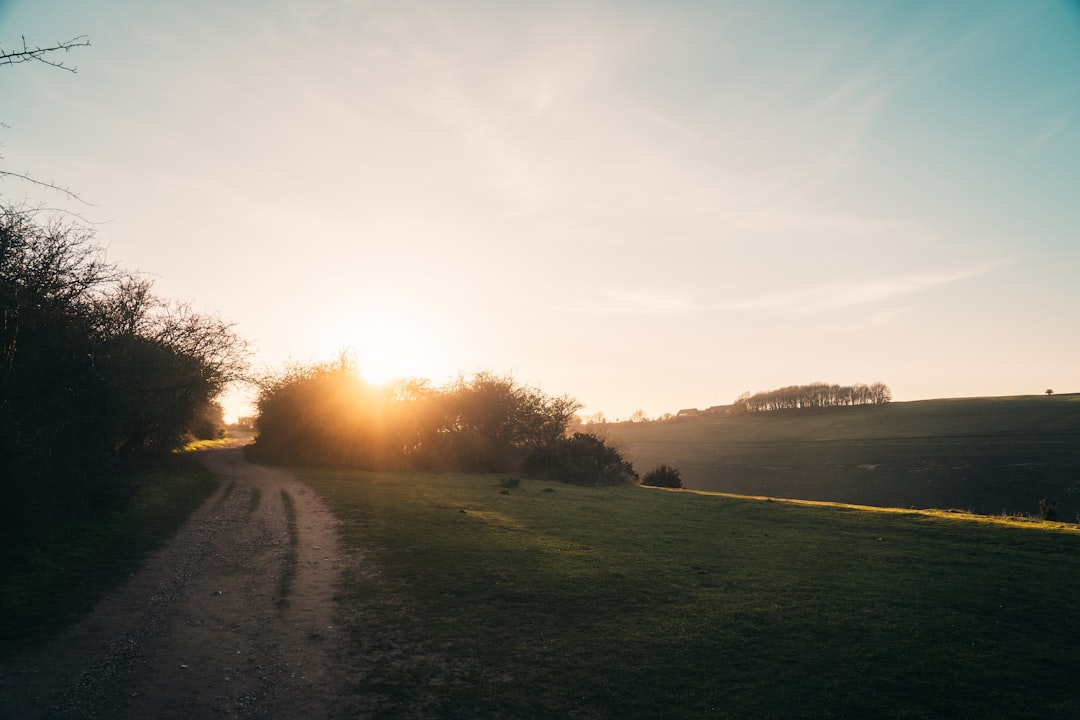 green grass field near body of water during sunset