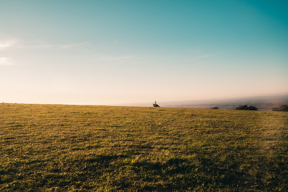 person walking on green grass field during daytime