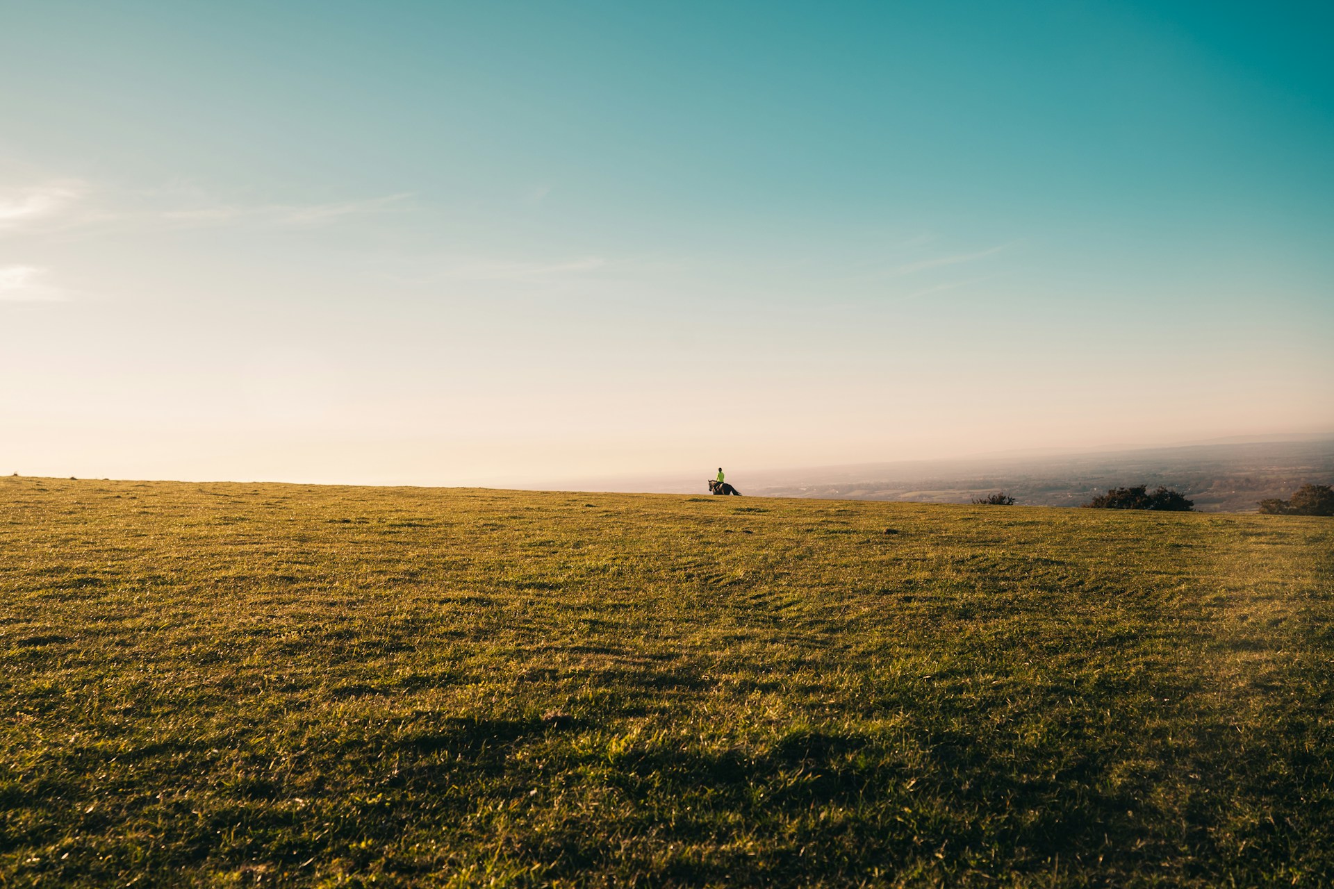 person walking on green grass field during daytime