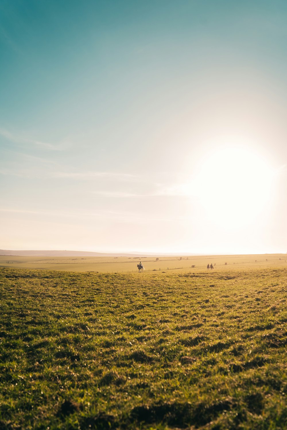 Campo de hierba verde bajo el cielo azul durante el día