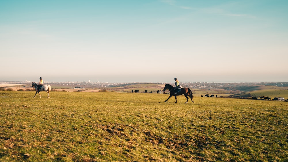 man riding horse on green grass field during daytime