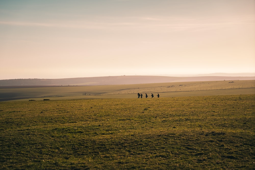 group of people standing on green grass field during daytime