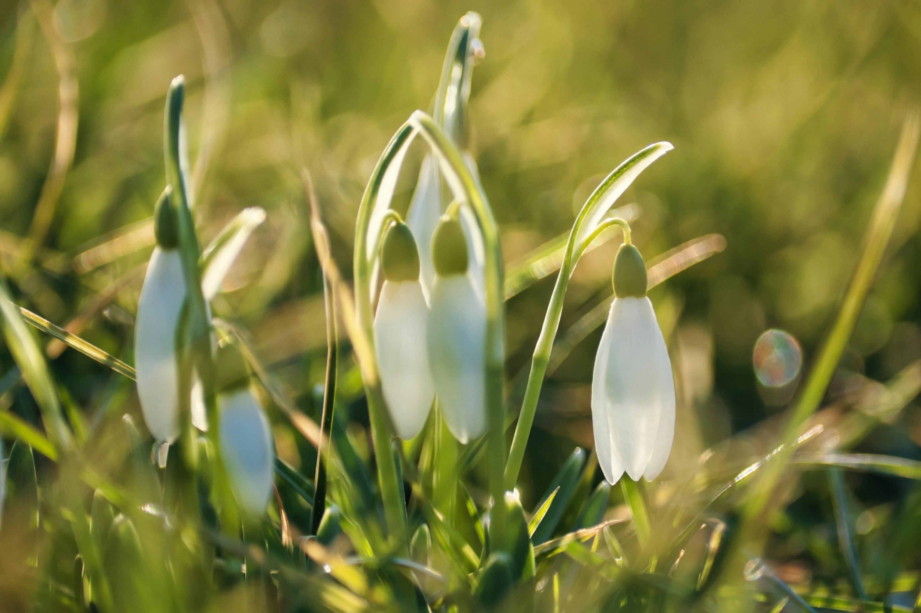 Photo by designbytholen