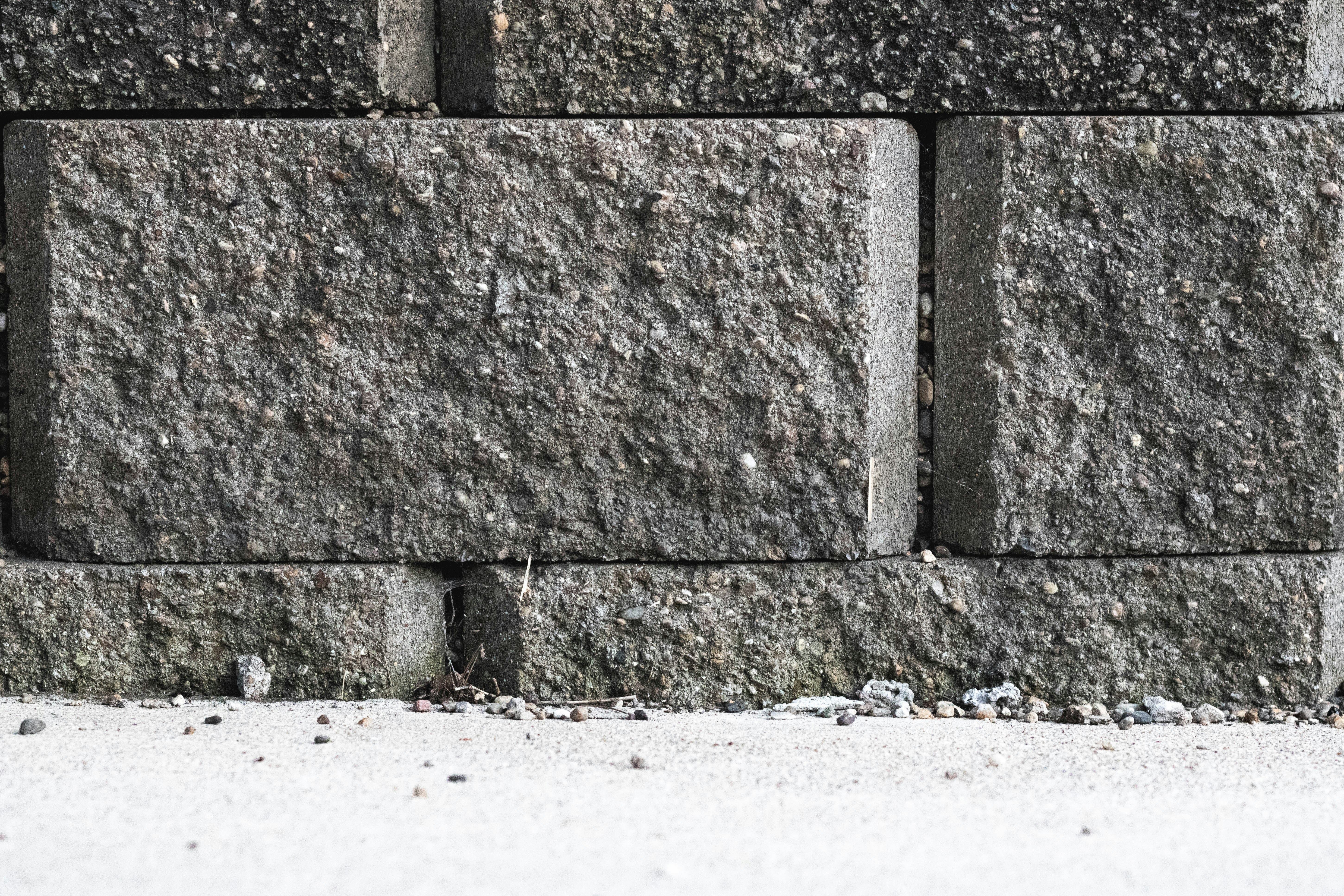 Photo by tirzahsprigela