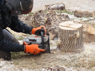 stump grinding