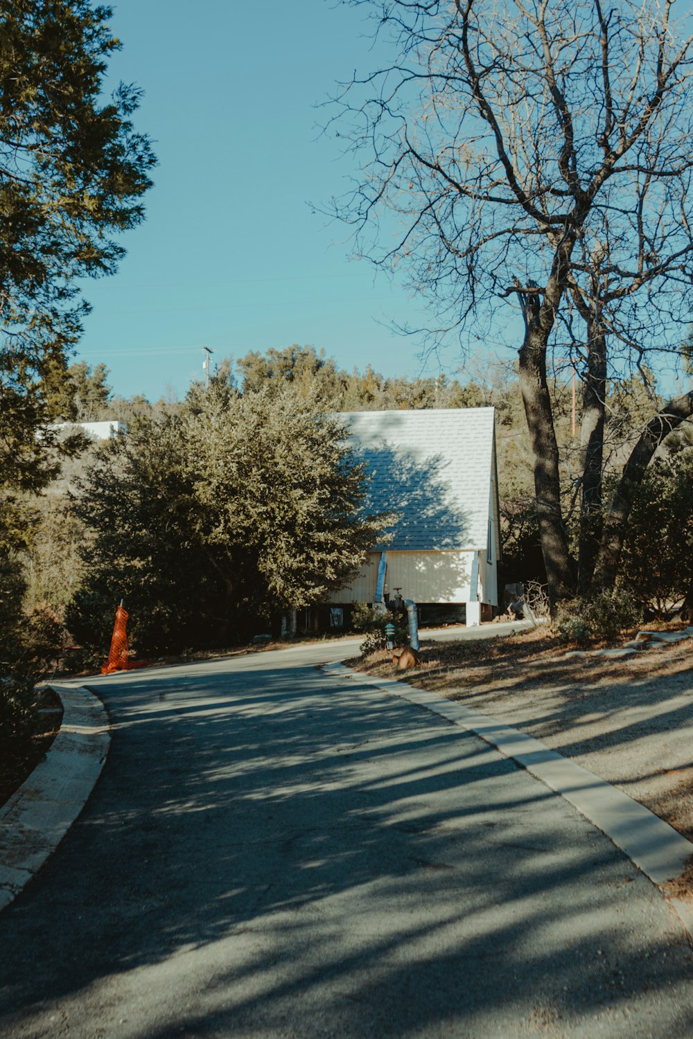 white and gray concrete building near trees during daytime