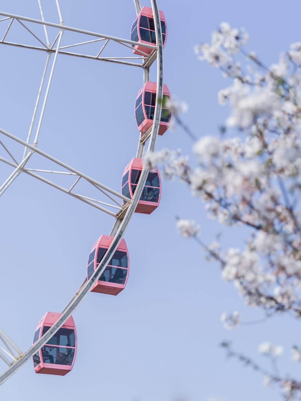 Teleférico rojo y blanco bajo el cielo azul durante el día