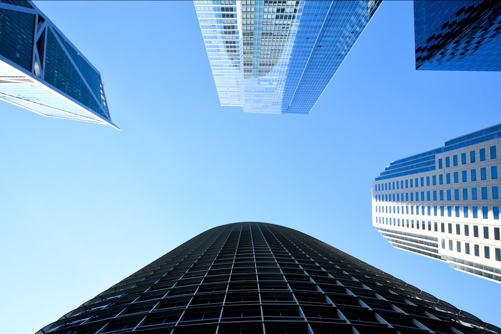 low angle photography of high rise buildings under blue sky during daytime