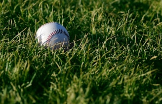 white baseball on green grass during daytime