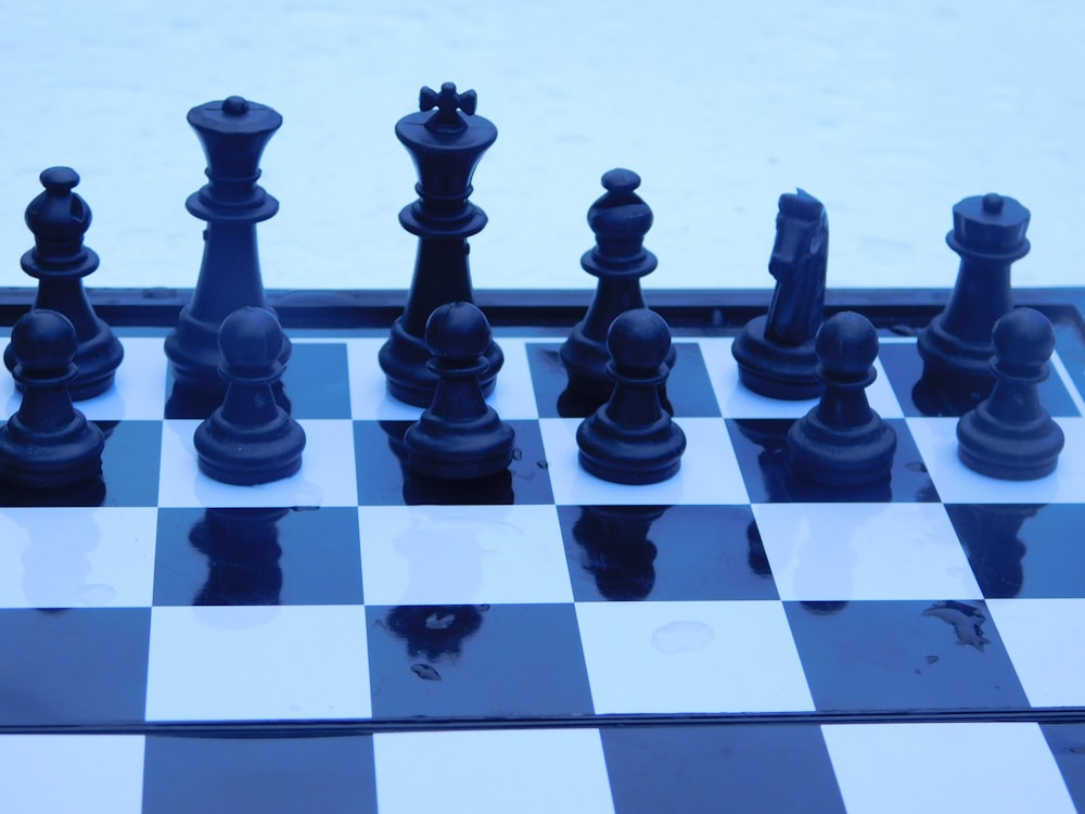 black and white chess piece on white and black chess board