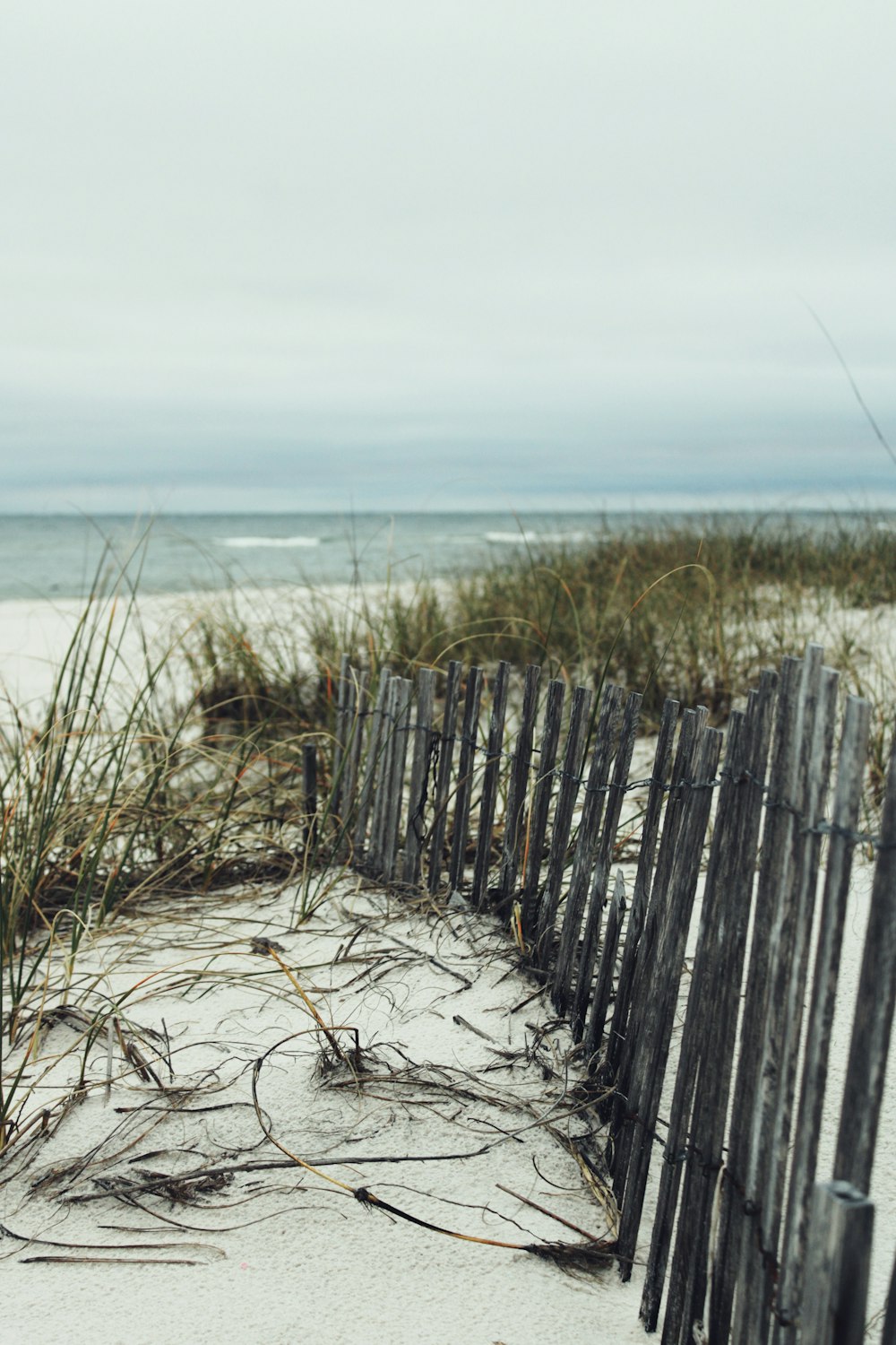 brown wooden fence on brown sand near body of water during daytime