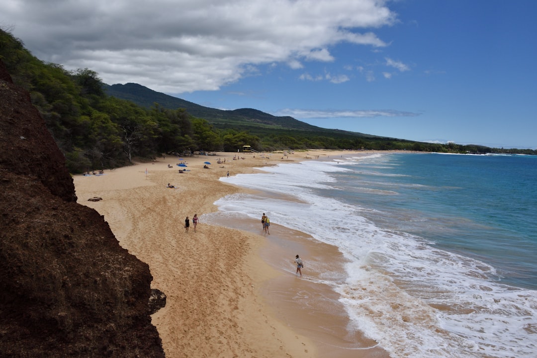 people on beach during daytime