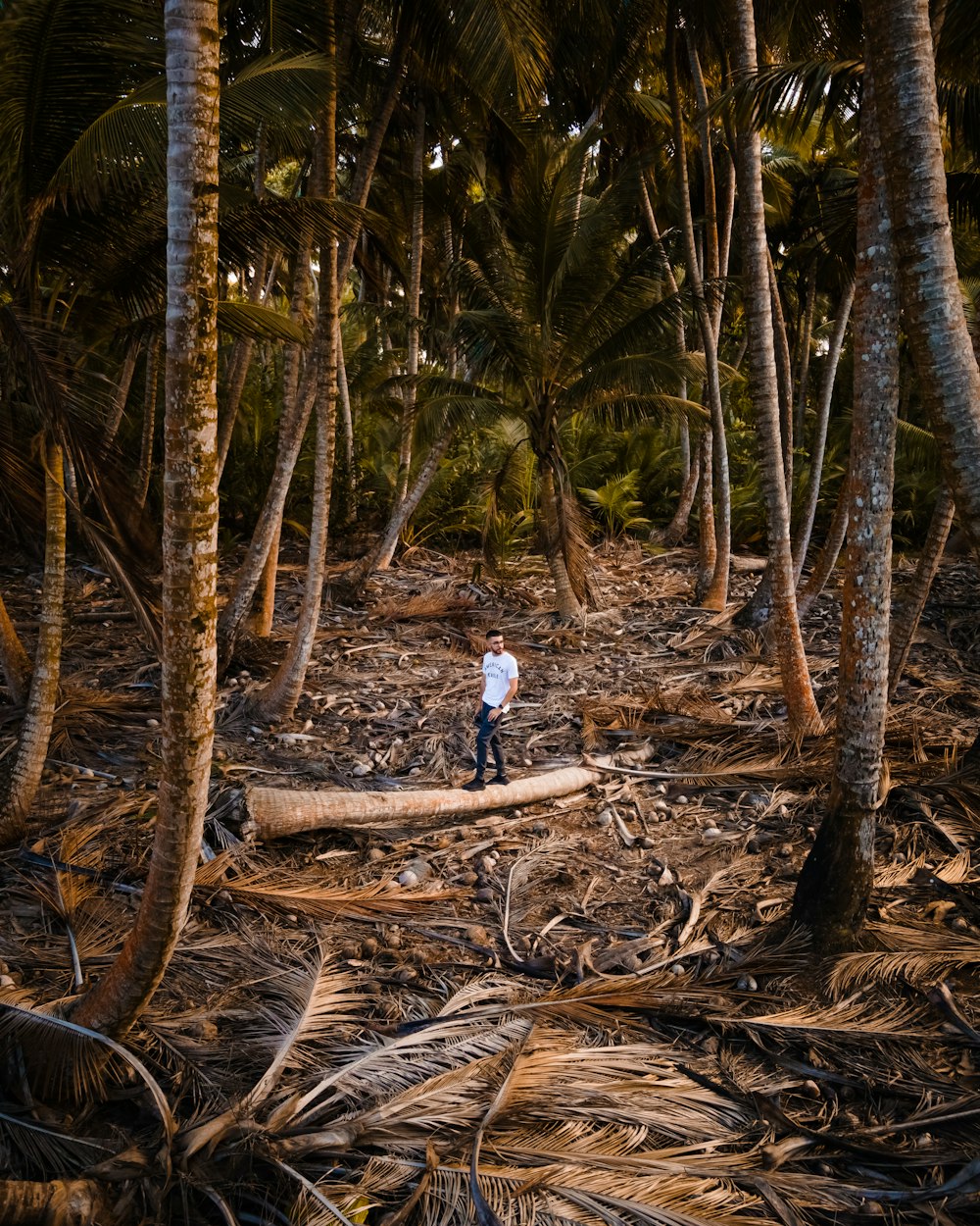 woman in white shirt and blue denim jeans standing on brown tree log during daytime