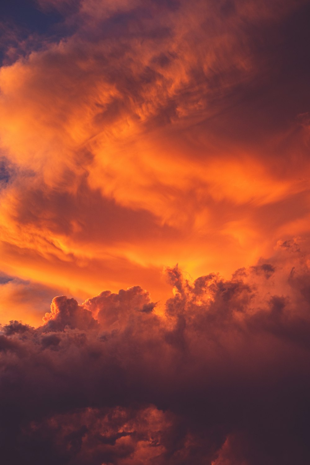 30,000+ Orange Sunset Pictures  Download Free Images on Unsplash