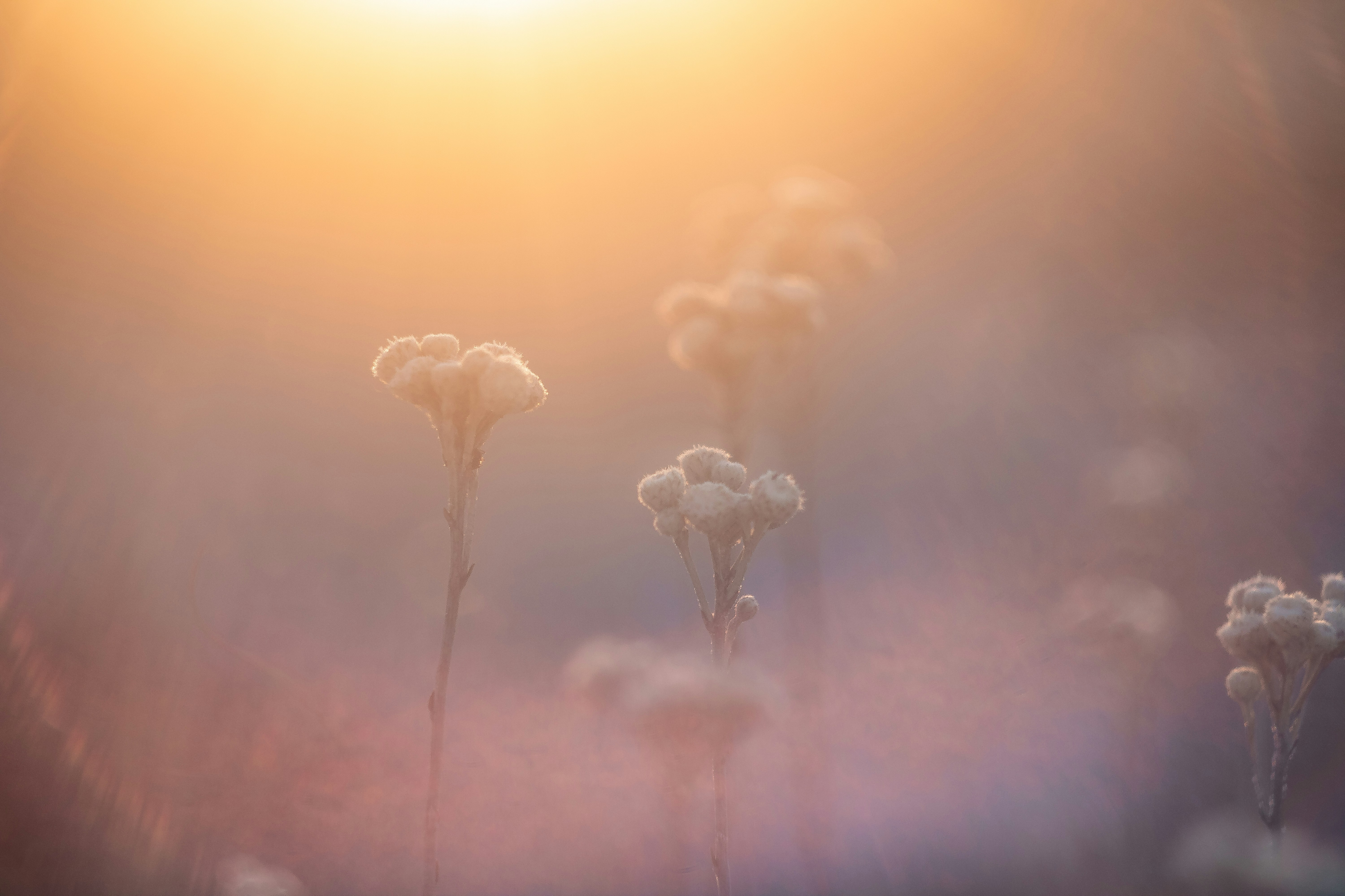 white smoke on blue sky