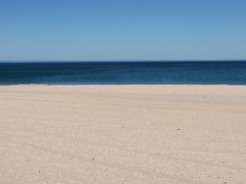 Playa de arena blanca durante el día