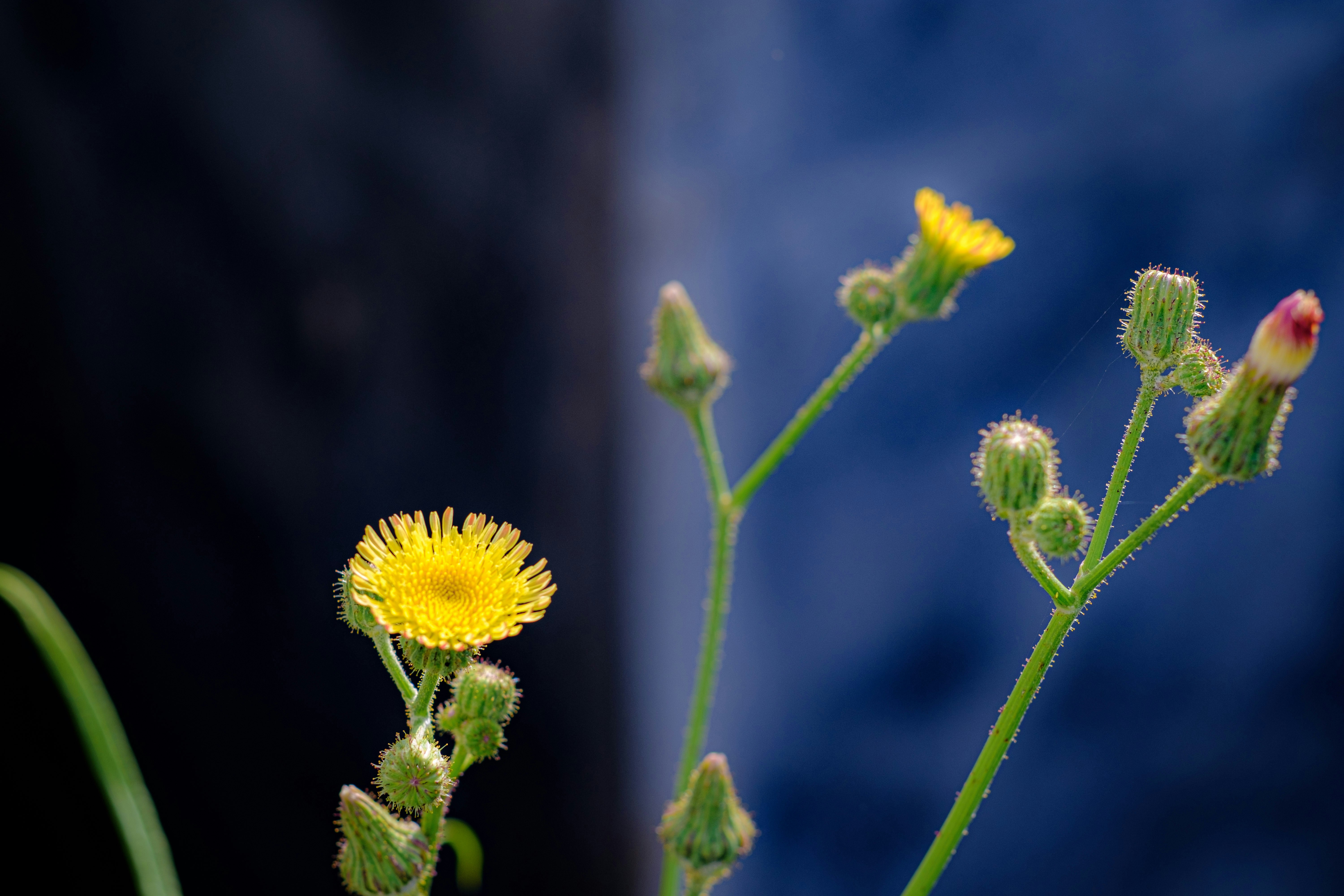 Photo by vierundsieben