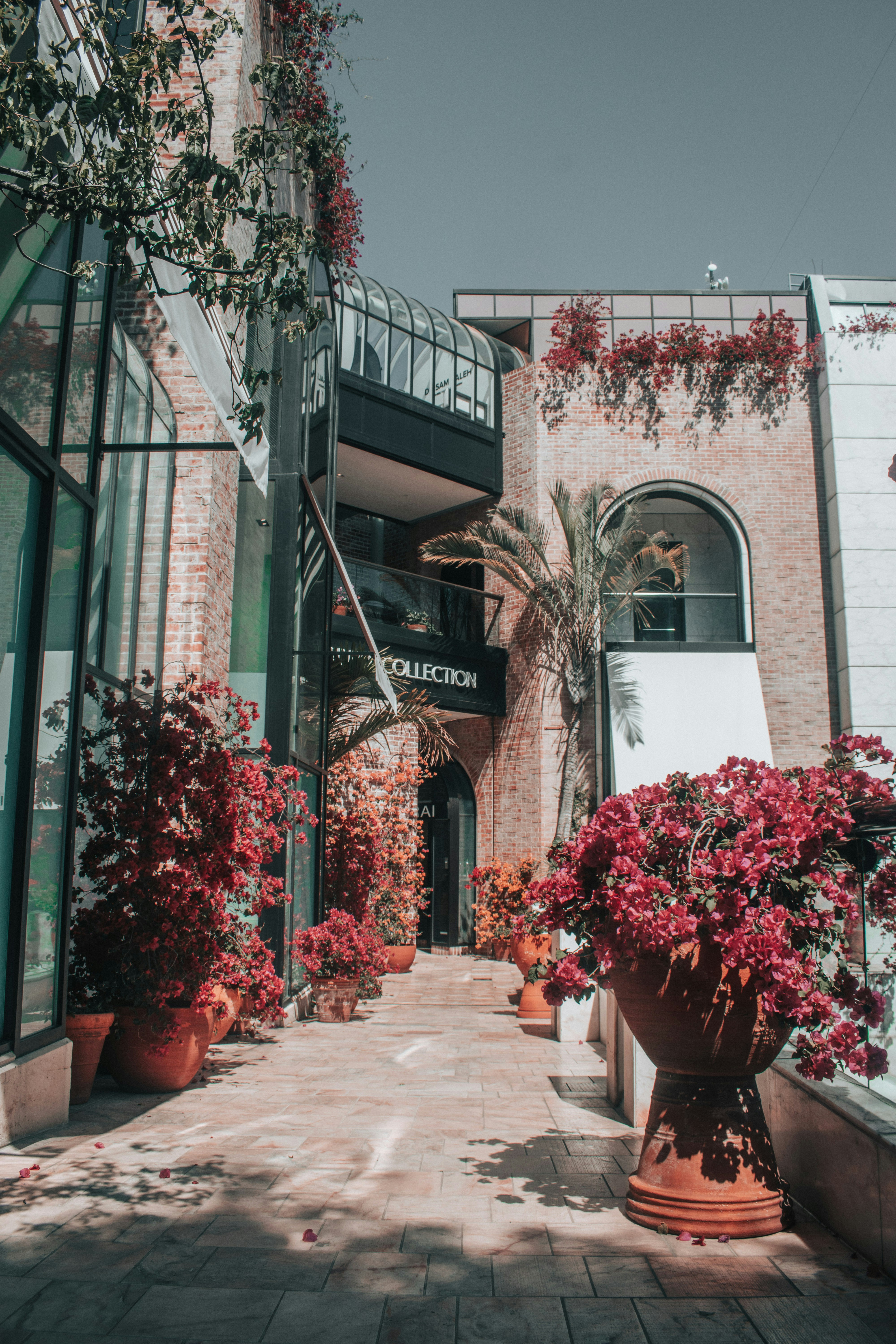 Photo by mariahhewines