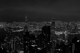 city skyline during night time
