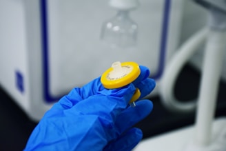 person in blue long sleeve shirt holding yellow and white plastic toy