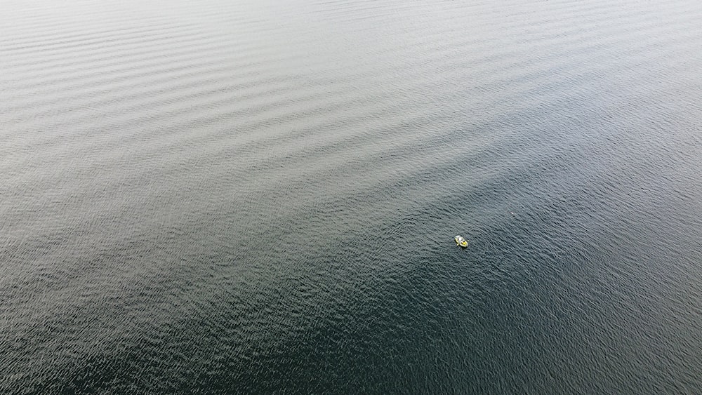 yellow boat on body of water during daytime