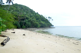 A serene, untouched beach in Lombok with crystal clear water and vibrant greenery.
