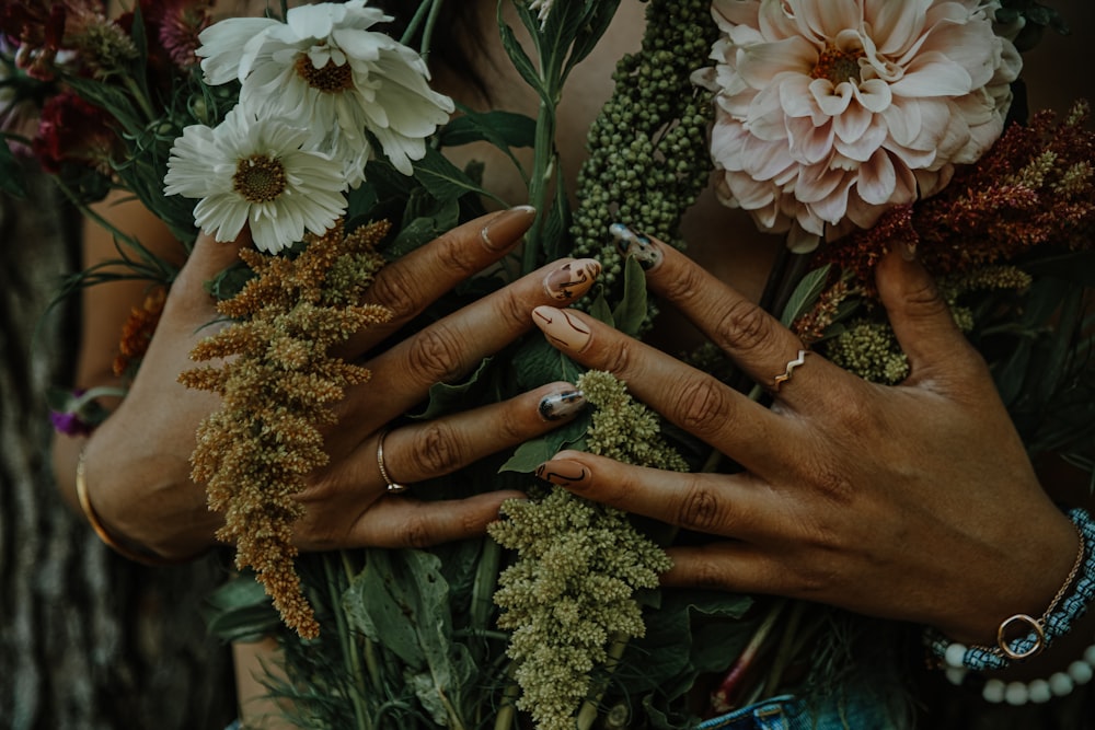 person holding white daisy flowers