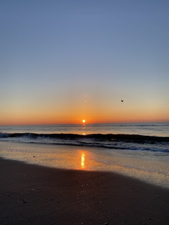 A serene sunrise over a quiet beach with gentle waves touching the shore, symbolizing new beginnings.