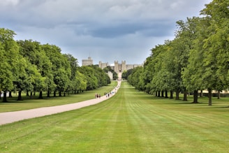 green grass field with trees and white building in distance