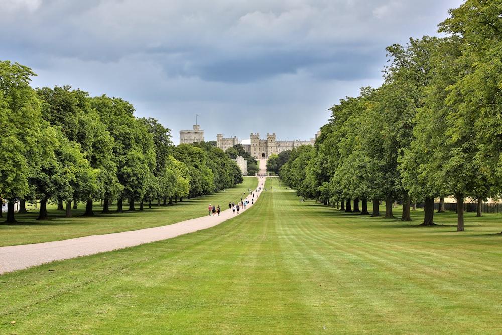 Champ d’herbe verte avec des arbres et un bâtiment blanc au loin